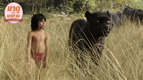 มาดูกับมาดาม: ‘Jungle Book’ หนังสือนอกเวลาในฝัน