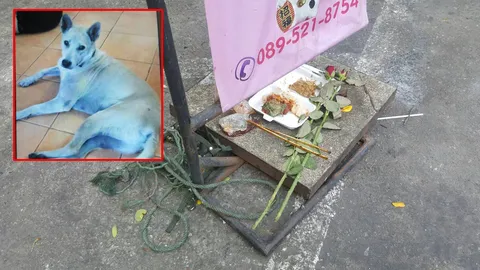 อัยการผัดฟ้อง คนฆ่าหมา! ชาวบ้านทำบุญอุทิศให้ 'เจ้าขาว' เหยื่อโหด