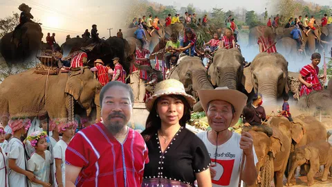 ทัวร์ช้างแม่สอด หนุนชาวช้างปูเต้อ