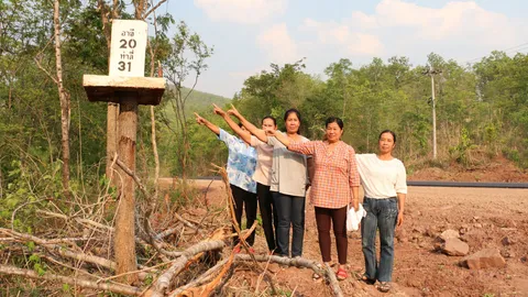 หลักกิโลฯ เก๋ไก๋! อยู่บนต้นไม้ในจ.เลย คนนึกว่าศาลพระภูมิ จุดธูปขอหวย  