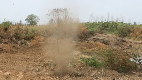 หาน้ำได้หวย! เจอตะเคียนยักษ์ฝังคลอง ขนลุกจุดธูปไหว้ ลมพัดวูบ