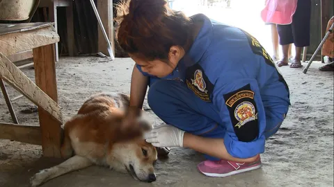 สุดอำมหิต! มือมืดยิงเจ้าตูบ 2 ตัว เลือดสาด อาการสาหัส