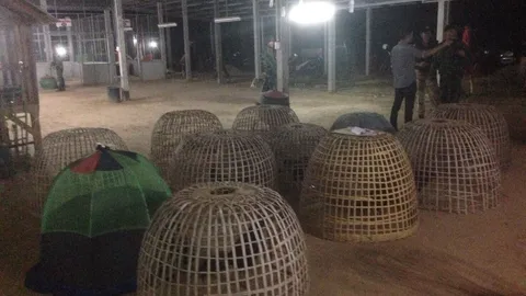 ทหาร สนธิกำลัง ตร.บุกจับบ่อนไก่ชนที่อุบลฯ รวบผีพนัน 83 คน