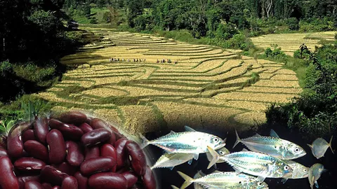 ปลุกพลังชาว "นนทรี" สานฝันผงาดขึ้นอันดับ 1 ใน 20 ด้านการเกษตรโลก สร้างศาสตร์แห่งแผ่นดิน