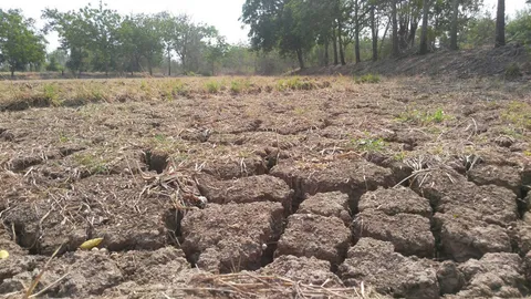 ปภ. เผยภัยแล้ง 27จว. คาด ฝนทิ้งช่วงปลาย มิ.ย.นี้ วอนช่วยประหยัดน้ำ