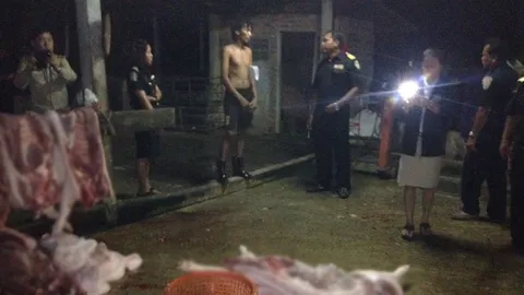 บุกจับโรงเชือดเถื่อน ปศุสัตว์เมืองคอนรวบเจ้าของ ยึดซากหมู 