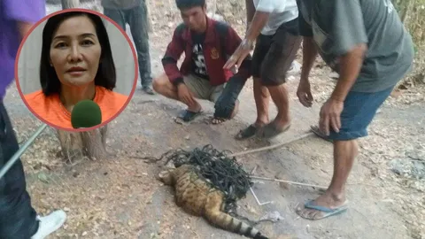 นายกฯ ลำนารายณ์ ขอโทษสังคม จนท.รู้เท่าไม่ถึงการณ์ จับแมวเบงกอลปล่อยกองขยะ