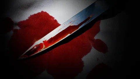 คุก 25 ปี หนุ่ม 19 เลียนแบบเกม มีดปาดคอแม่เฒ่าดับ-ชิงทรัพย์