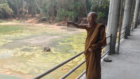 อุบลฯ แล้งหนัก! สระน้ำเขตอภัยทานแห้งขอด ปลาน้อยใหญ่ทยอยตายเพียบ