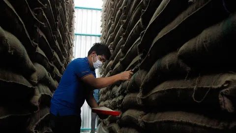 พาณิชย์ประมูลข้าว 1.2 ล้านตัน ชี้แจงทีโออาร์ 4 พ.ค.