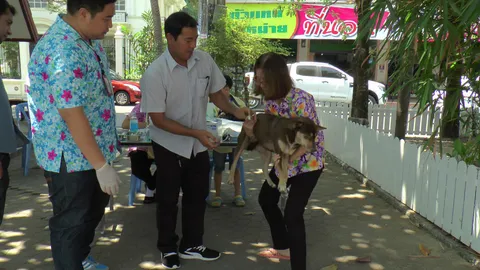 เทศบาลแม่สอดเฝ้าระวัง โรคพิษสุนัขบ้า หลังตามชายแดนมีตายแล้ว 2 คน