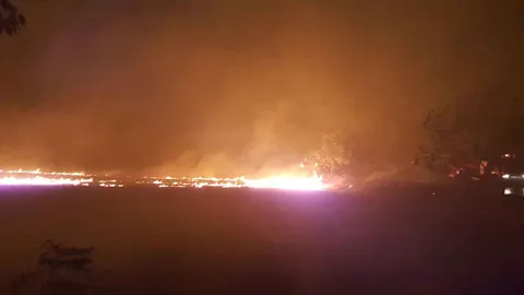 ทะเลเพลิง! ไฟไหม้ตอซังข้าวกลางนา จ.แพร่-กำแพงเพชร เพลิงโหมหญ้าแห้ง