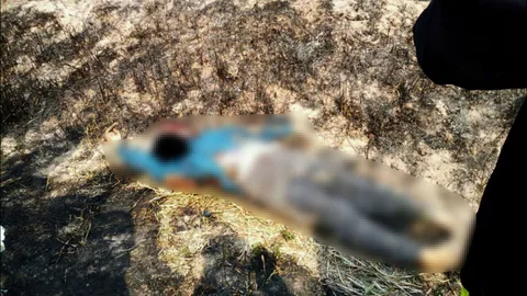 ชาวนาหญิงร้อยเอ็ด คาดสำลักควันเผาตอซังข้าว ดับกลางทุ่งนา