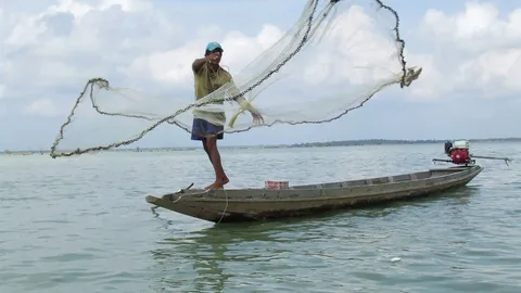 ประกาศห้ามจับสัตว์น้ำ