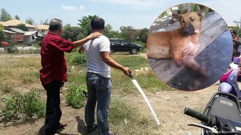 เวรกรรม ตัดขาหมาขาด 2 ข้าง! เจ้าของแจ้ง ตร.จับ อ้างแค่ขว้างมีดใส่  
