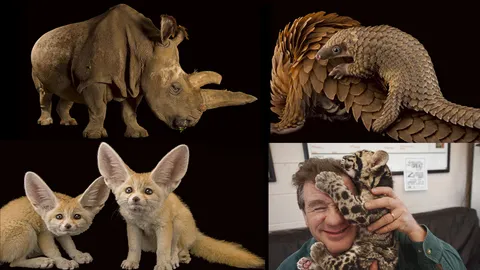 ตัวสุดท้าย อาจสายเกินไป