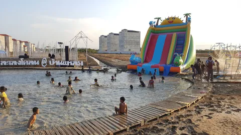 ผู้ว่าฯ เมืองเพชร ชวนเที่ยวงานเปิดโลกทะเลโคลนบ้านแหลม กิจกรรมเพียบ!