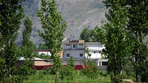 ครบ 5 ปีดับบิน ลาดิน อัล เคดาซุ่มฟื้นคืนชีพ