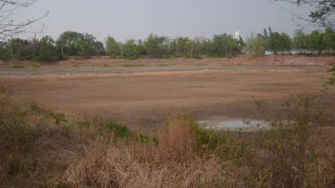 พายุพาฝนมาไม่ช่วยเติมน้ำเขื่อนลำตะคอง น้ำลดต่อเนื่อง เหลือแค่ 17%