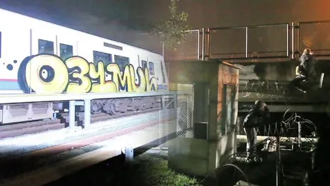 รฟม. แจง ต่างชาติปีนรั้วศูนย์ซ่อมบำรุงฯ-พ่นสีรถไฟฟ้า เป็นคลิปเก่า