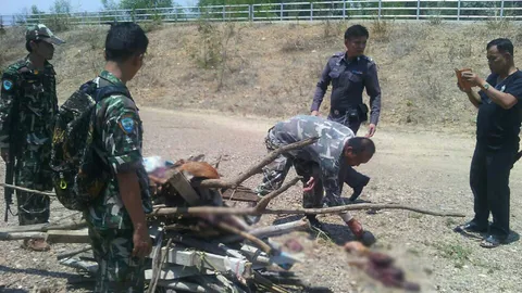 จับ 2 พราน ล่าเก้งป่าแม่ปิง ยิงตายชำแหละซากใส่กระสอบ 