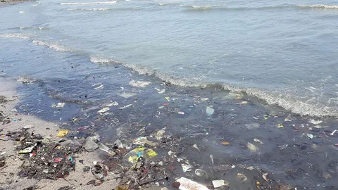 พัทยาใต้ขยะล้น น้ำทะเลเป็นสีดำ วอนจนท.จัดการ กู้ภาพลักษณ์ด่วน!