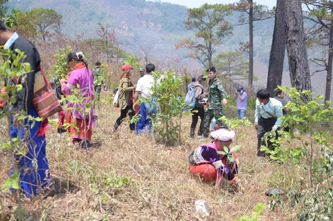 มิตรภาพ! อ.ฝาง จัดงานสานสัมพันธ์สองแผ่นดินไทย-เมียนมา ประจำปี59