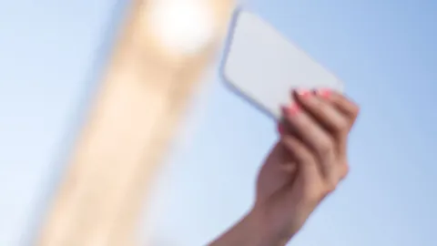 ถ่าย "เซลฟี่" ช้าง ชีวีแทบไม่รอด