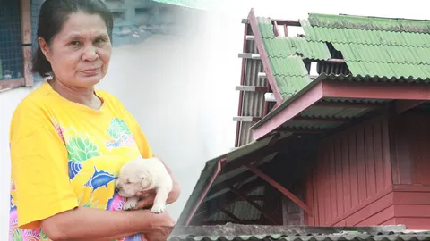 แม่หมาตกลูก 6 ตัวช่วยชีวิต! เจ้าของลงไปเฝ้า รอดฟ้าผ่าหวุดหวิด