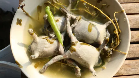 อึ่งไชโย! เปล่าดีใจ แต่เป็นอะไร ไปถามแม่ครัวที่กำแพงเพชร