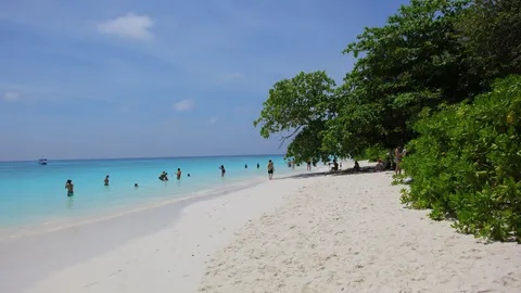 กรมอุทยานฯ ประกาศปิดหมู่เกาะสิมิลัน 'ตาชัย' ยังไม่มีกำหนดเปิด