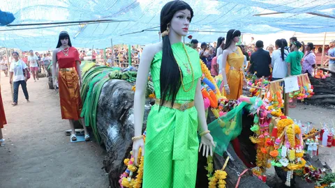 งวดที่แล้วรวยกันทั่วหน้า แห่ขออีก เลขเด็ดต้นตะเคียนหลายร้อยปี