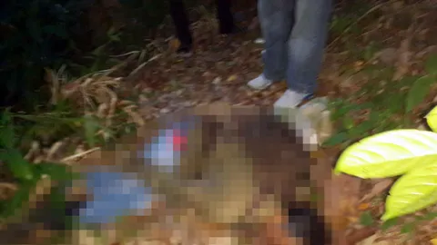 ซัดโป้งเจ้าของสวนสะตอภูเก็ต ดับเลือดอาบ คาดนัดเจรจาแต่ไม่ลงตัว