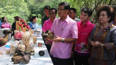 เห็ดตับเต่า ในดงโสน! เอกลักษณ์ ต.สามเรือน ดังจนผู้ว่าฯ ต้องมาดู   
