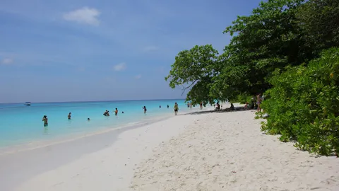 ปิดเพื่อฟื้นฟู 'เกาะตาชัย' เสื่อมโทรม คนแห่เที่ยวหาด ดูปูไก่ หอยมรกต