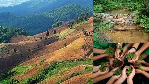 มาช่วยหว่านเมล็ดพันธ์ุจิตสำนึกรักต้นไม้ เพื่อนำผืนป่าผืนน้ำกลับคืนสู่ประเทศชาติ