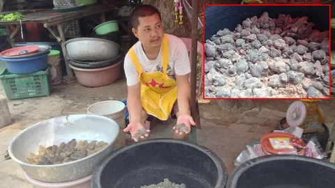 ชาวอุบลฯ พลิกวิกฤติพายุถล่ม จับอึ่งอ่างวางขายสร้างรายได้งาม