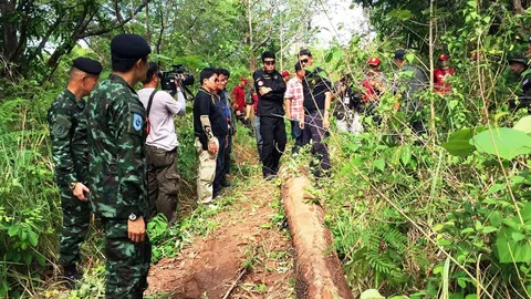 กรรมตามสนอง! หนุ่มน่านลอบตัดไม้ให้นายทุน ถูกไม้ล้มทับดับ