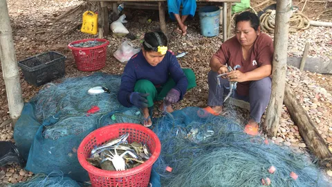 ไปกัน ไปกัน ไปกินปลาทู-ปูม้า! สดและถูก จากชาวประมงบางเบิด