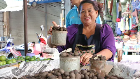 ออกแล้ว! เห็ดเผาะกำแพงเพชร ลูกค้าหาซื้อเกลี้ยง แม้ราคาพุ่งโลละ 600