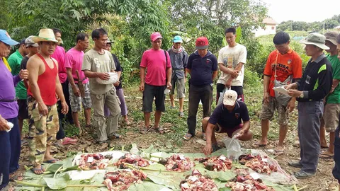 ชาวไทลื้อ จัดประเพณีเลี้ยงผีต้นตระกูล ก่อนเริ่มฤดูเพาะปลูก