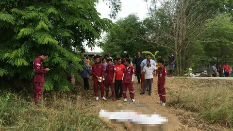 ชอบขึ้นที่สูง! หนุ่มป่วยลมชัก ปีนเก็บรังนกกระจาบ ตกต้นประดู่ดับ 