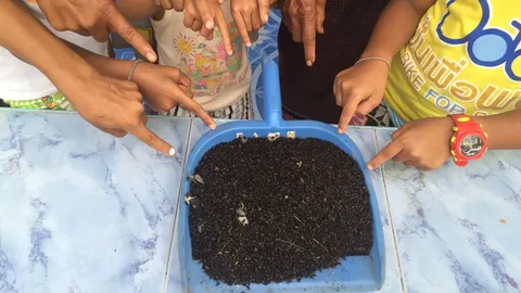 ผวา! กองทัพแมลงปีกแข็งนับแสน บุกยึดบ้านที่เพชรบูรณ์