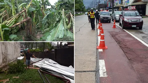 พายุฝนถล่มใต้! ถนนพัง-พืชไร่เสียหาย สงขลาจ่อประกาศภัยพิบัติ 11 อำเภอ