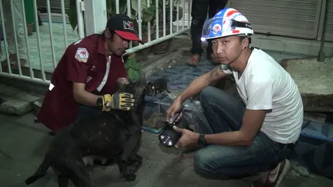 แม่หมาเฝ้าไม่ห่าง! ลูกสุนัขเพิ่งคลอดตกท่อนาน 3 วัน กู้ภัยช่วยคืนอ้อมอก