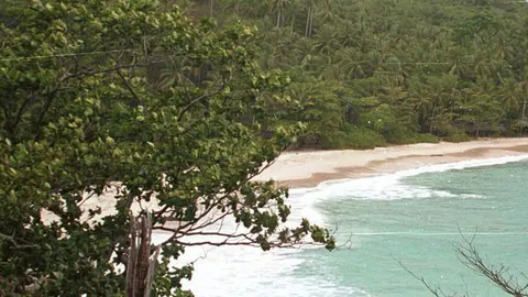 สั่งเพิกถอนโฉนดหาดฟรีดอม 4 พันล้าน