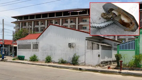 แห่เปลี่ยนโถส้วม กลัวเจอไอ้เหลือม