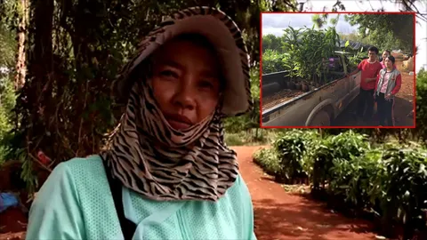 เจ๊หมวย รักษ์โลก! ทำดีก่อนตาย แจกอะโวคาโด 2 หมื่นต้นปลูกเพิ่มสีเขียว