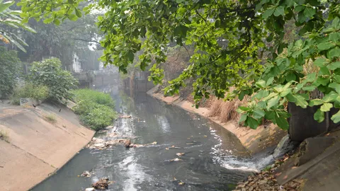 ตั้งคณะกรรมการ ดูแลคลองแม่ข่า