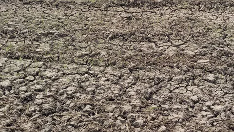 หลายพื้นที่วิกฤติแล้ง ฝนตกน้อยยังขาดน้ำ